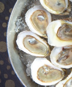 oysters1-249x300.jpg
